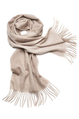 SEIDENFALTER Schal Uni