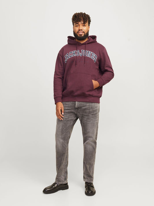 JACK & JONES JACK&JONES JJECALEB VARSITY SWEAT HOOD NOOS PLS