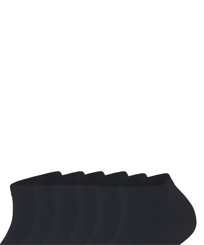 FALKE FALKE Happy 6-Pack Damen