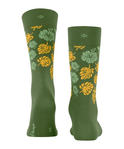 BURLINGTON Burlington Aloha Breeze Herren