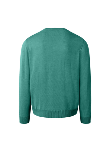 MAERZ Pullover V-Ausschnitt 1/1 Arm