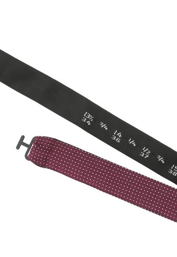 SEIDENFALTER Fliege Picoté