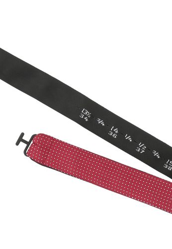 SEIDENFALTER Fliege Picoté