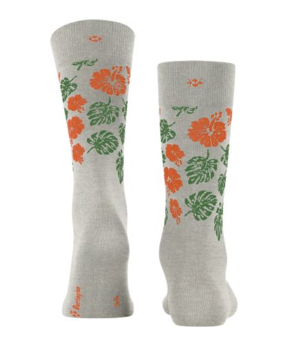 FALKE Burlington Aloha Breeze Herren