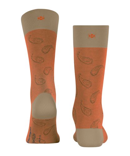 FALKE Burlington Paisley Herren