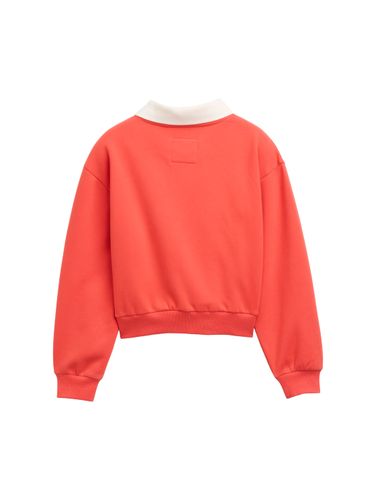 TOM TAILOR Cropped Sweatshirt mit Kragen
