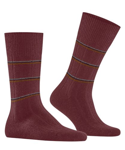 FALKE FALKE Lhasa Rib Special Edition Herren