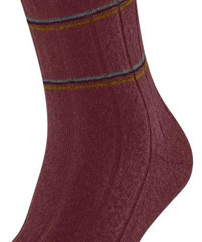 FALKE FALKE Lhasa Rib Special Edition Herren
