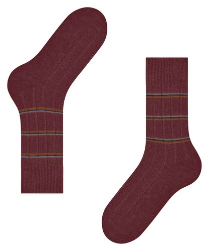 FALKE FALKE Lhasa Rib Special Edition Herren