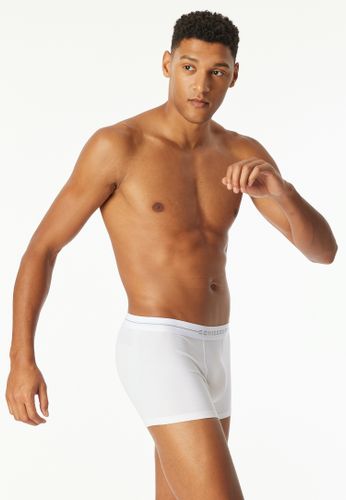 2PACK Shorts