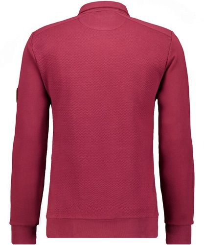 Sweatshirt mit Stehkragen