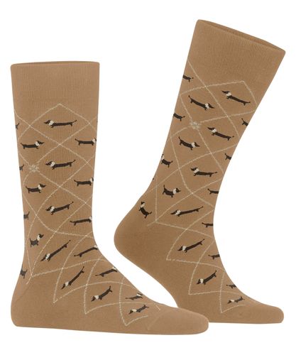 BURLINGTON Burlington Dachshund Herren