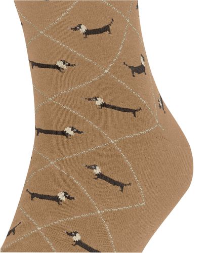 BURLINGTON Burlington Dachshund Herren