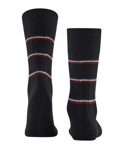 FALKE FALKE Lhasa Rib Special Edition Herren