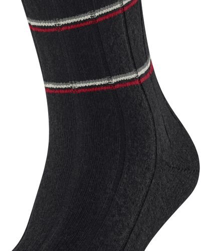 FALKE FALKE Lhasa Rib Special Edition Herren