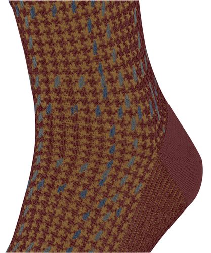 FALKE FALKE Family Special Edition Herren