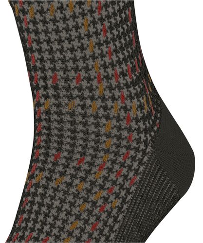 FALKE FALKE Family Special Edition Herren