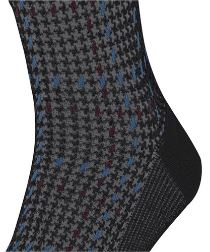 FALKE FALKE Family Special Edition Herren