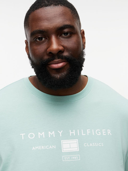 TOMMY HILFIGER Plus Jersey Logo T-Shirt