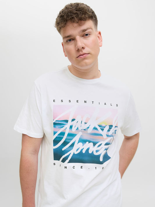 JACK & JONES JJCOLTON PHOTOPRINT TEE SS CREW NE PLS