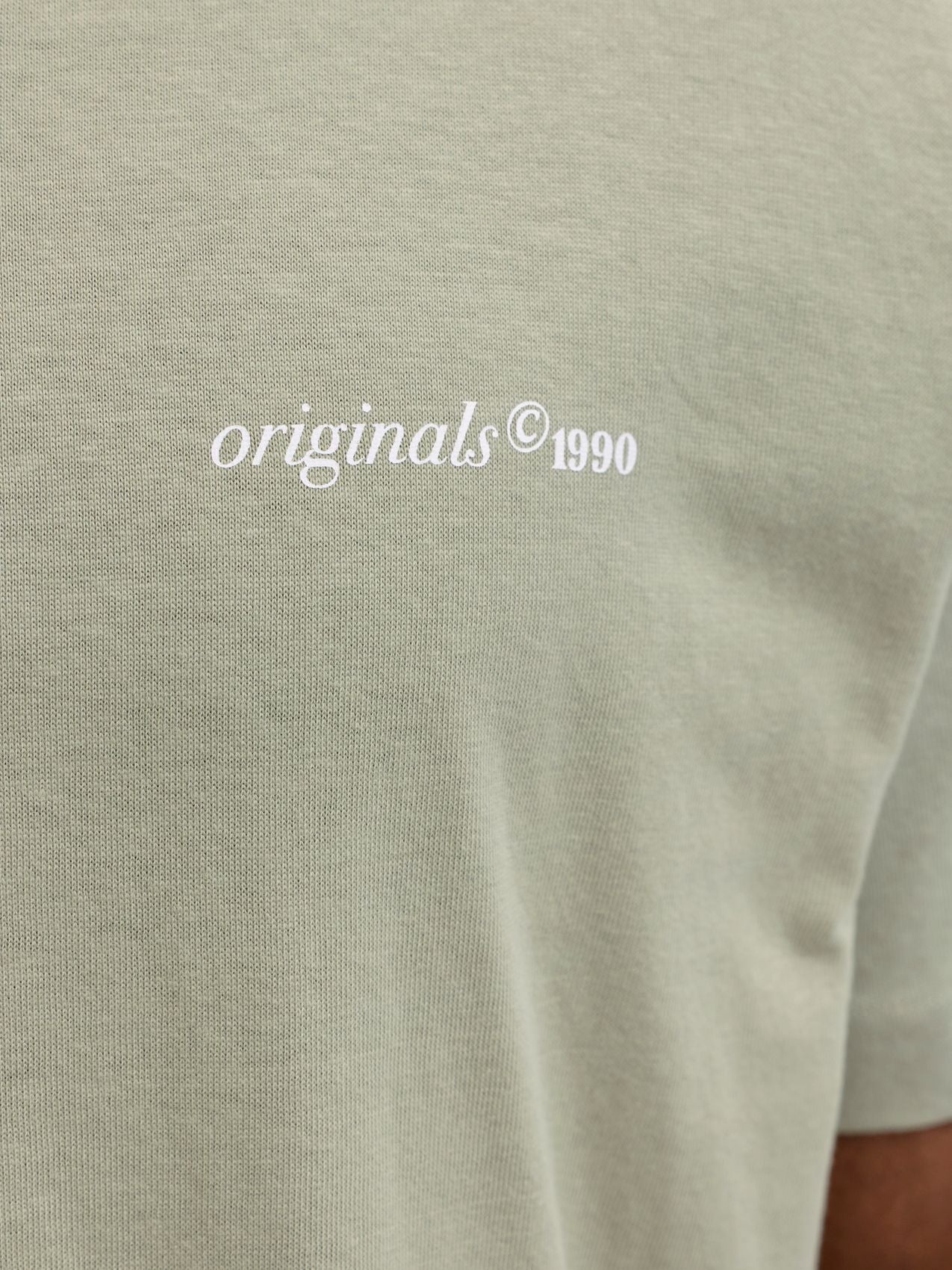 JACK & JONES JORMONTAUK BACK GRAPHIC TEE SS EA26 PLS
