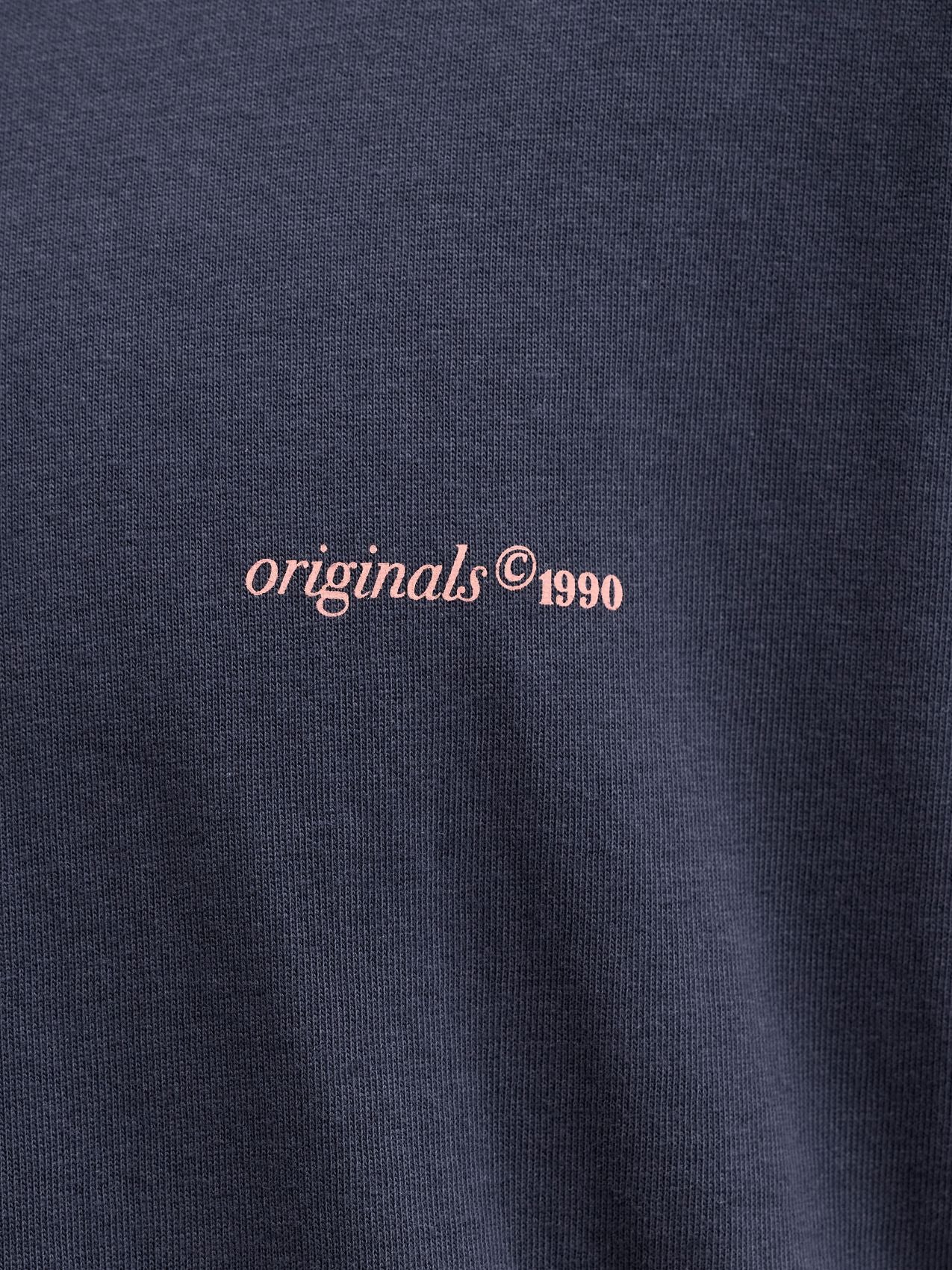 JACK & JONES JORMONTAUK BACK GRAPHIC TEE SS EA26 PLS