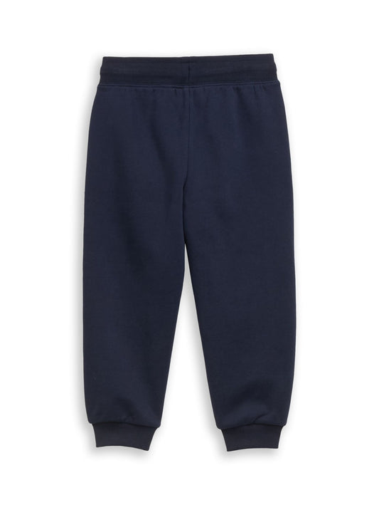 TOM TAILOR Jogginghose mit Dino-Stickerei