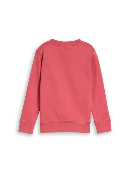 TOM TAILOR Sweatshirt mit Dino-Stickerei
