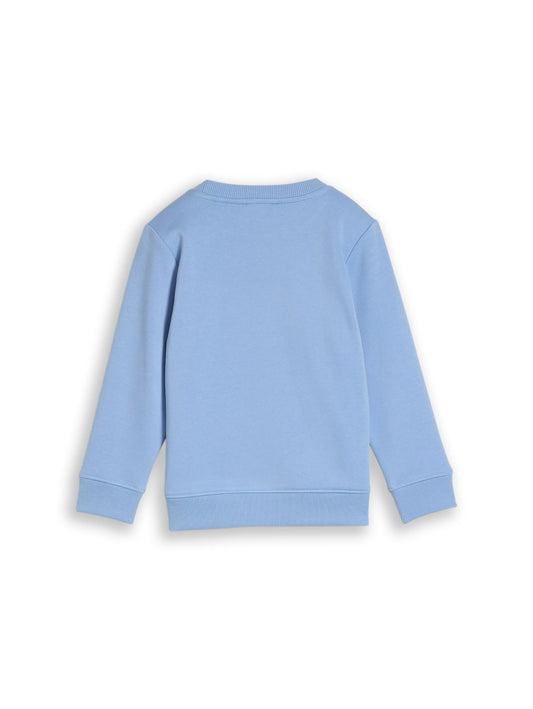 TOM TAILOR Sweatshirt mit Snoopy-Print