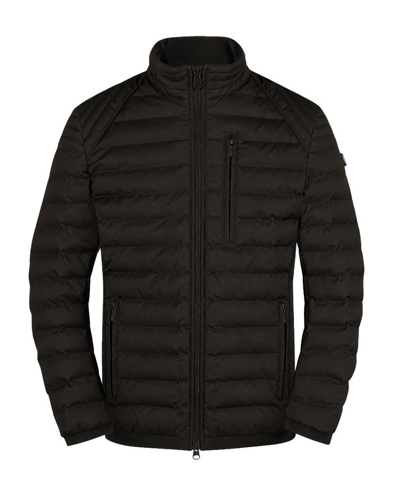Herren Steppblouson mit Stehkragen "MOLM"