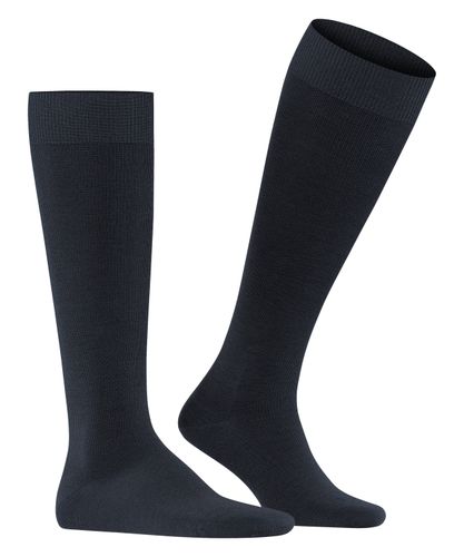 FALKE FALKE Energizing Wool Herren