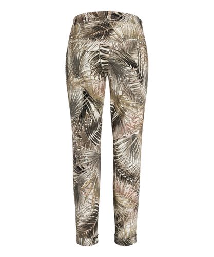 CAMBIO CAMBIO Stella