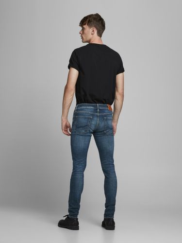 ONLY CARMAKOMA JACK&JONES JJILIAM JJORIGINAL JJ 244 STS
