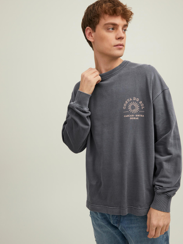 ONLY CARMAKOMA JORSOLAR GRAPHIC SWEAT CREW NECK