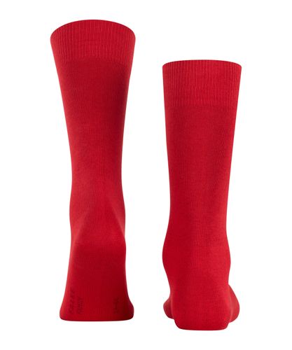 FALKE FALKE Family Herren