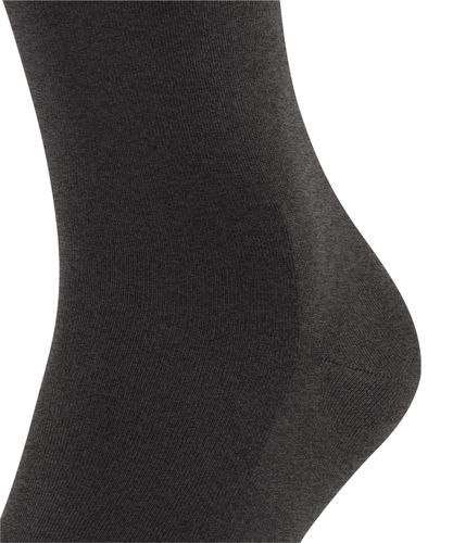 FALKE FALKE ClimaWool Herren