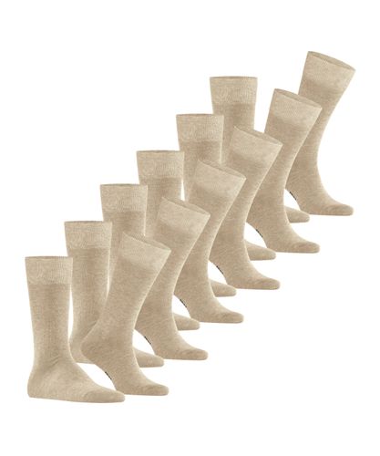FALKE FALKE Happy 6-Pack Herren