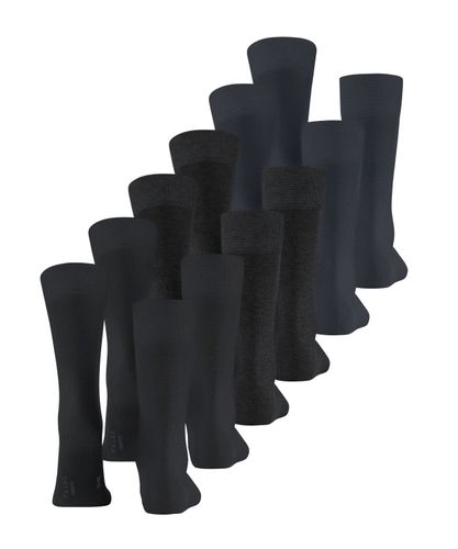 FALKE FALKE Happy 6-Pack Herren