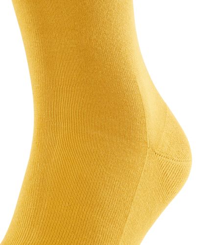 FALKE FALKE Family Herren