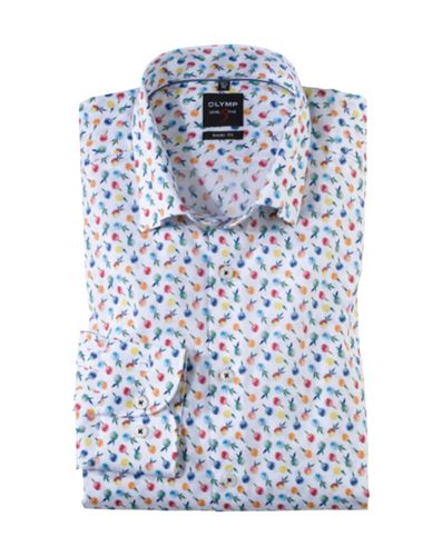 OLYMP OLYMP Level Five