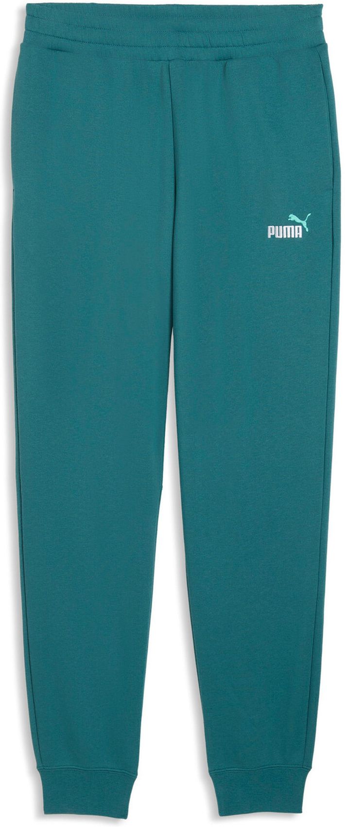 PUMA ESS 2 COLOR No. 1 Logo Sweatpants T, Emerald Ice