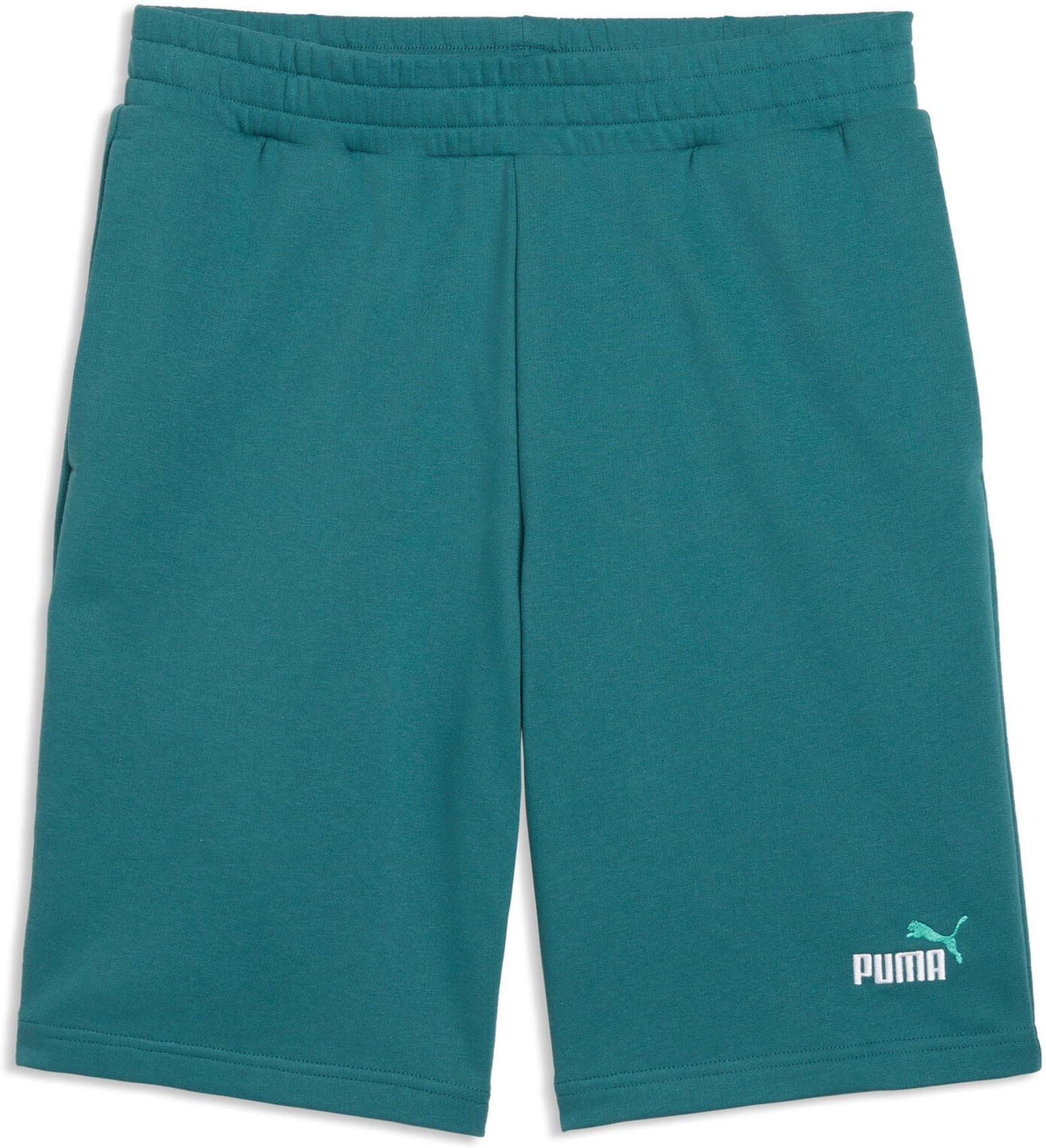 PUMA ESS 2 COLOR No 1 Logo Shorts 10 TR, Emerald Ice XXL