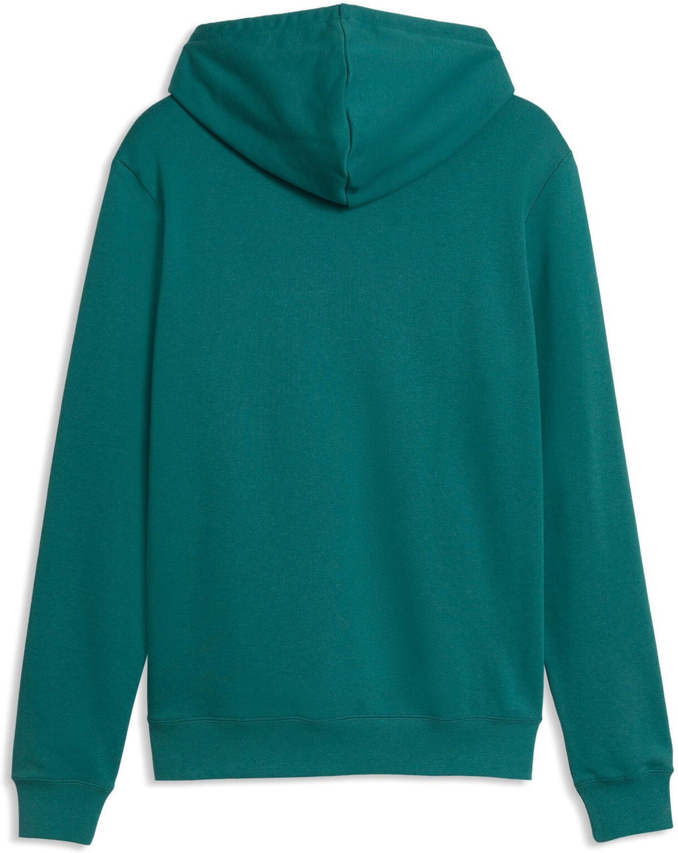PUMA ESS 2 COLOR Small No. 1 Logo Hoodie, Emerald Ice
