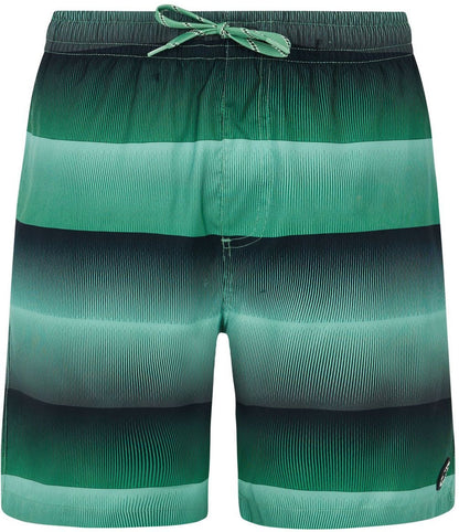 PROTEST PRTRadar beachshort, Cactus Green M