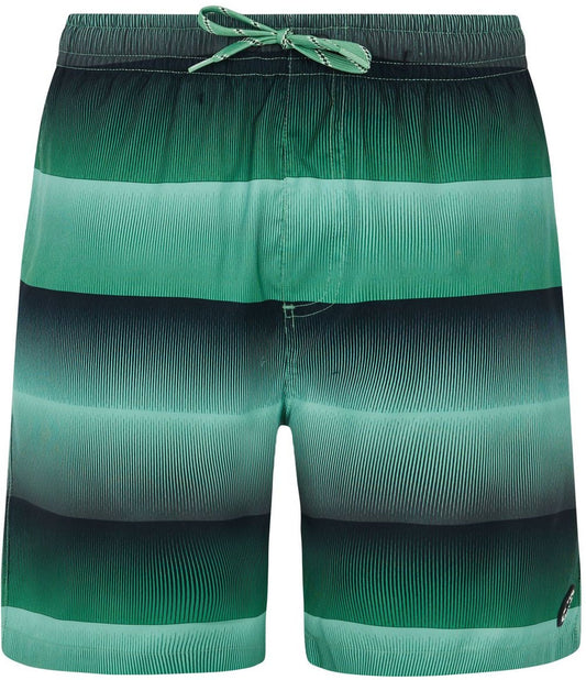 PROTEST PRTRadar beachshort, Cactus Green M