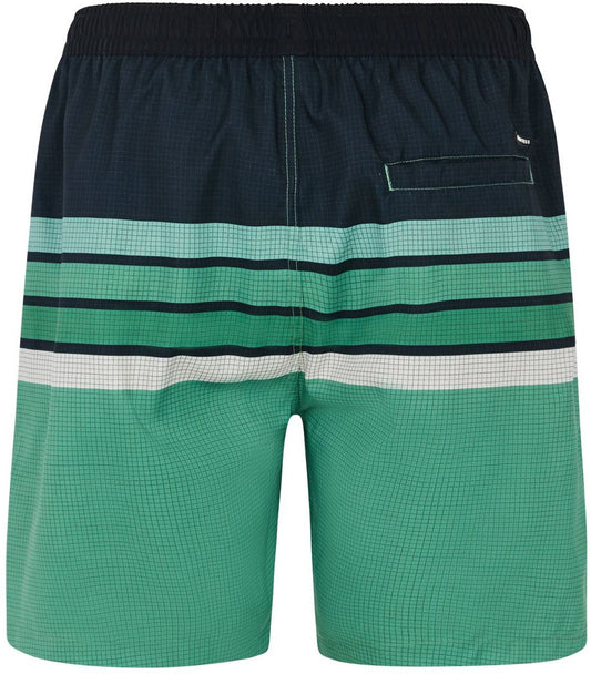 PROTEST PRTAvik beachshort, Cactus Green