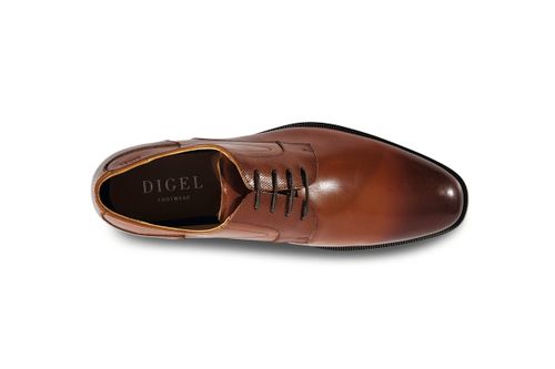 DIGEL Starlight