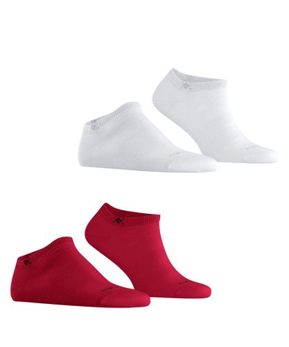 FALKE Burlington Everyday 2-Pack Herren