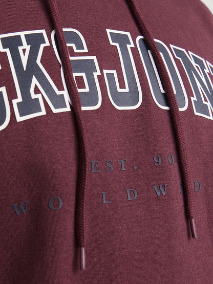 JACK & JONES JACK&JONES JJECALEB VARSITY SWEAT HOOD NOOS PLS