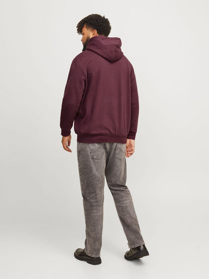 JACK & JONES JACK&JONES JJECALEB VARSITY SWEAT HOOD NOOS PLS